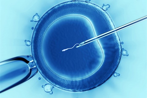 http://jinan.vdtfzz.com/post/198.html|济南代生助孕