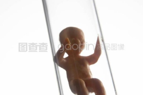http://jinan.vdtfzz.com/post/197.html|济南试管助孕