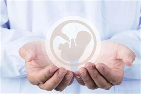 http://jinan.vdtfzz.com/post/214.html|济南人工试管
